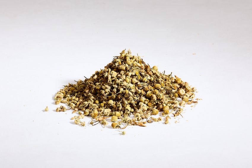 Chamomile